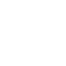 N1CM logo